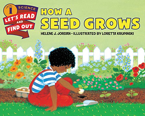 How a Seed Grows: Let