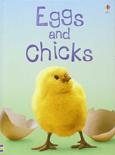 Eggs and Chicks (Beginners)