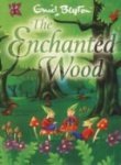 The Enchanted Wood: 1 (The Faraway Tree)