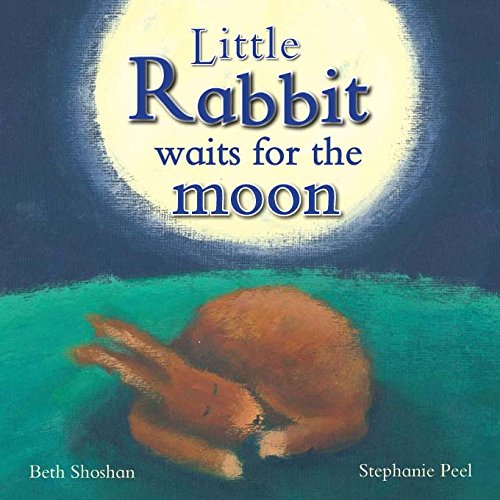 Little Rabbit Waits For The Moon