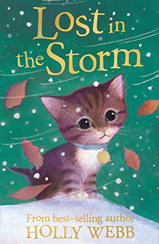 Lost in the Storm: 3 (Holly Webb Animal Stories)