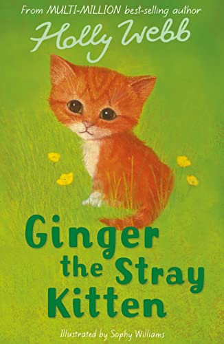 Ginger the Stray Kitten: 8 (Holly Webb Animal Stories)