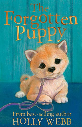 The Forgotten Puppy: 29 (Holly Webb Animal Stories)