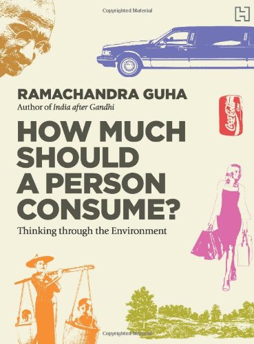 How Much Should A Person Consume: Thinking Through The Environment